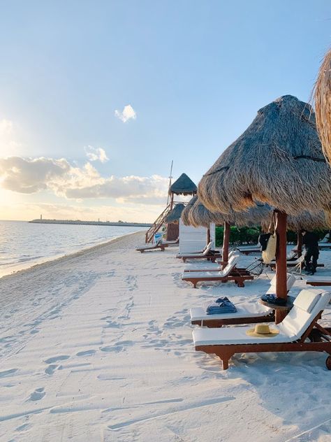 Private Beach Resort, Beach Resort Pictures, Beach Resort Aesthetic, Aesthetic Resort, Mexico Beach Resorts, Resort Aesthetic, Resort Pictures, Beaches In Mexico, Luxury Beach Vacation
