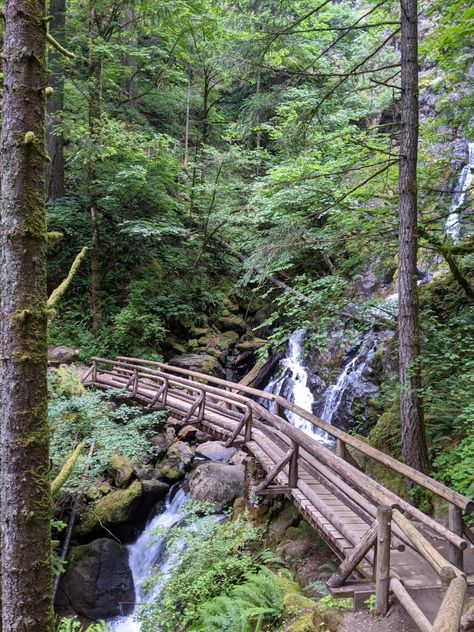 Nature, Washington State Waterfalls, Hiking Waterfall Aesthetic, Waterfall Hike Aesthetic, Hiking Trail Aesthetic, Trails In The Woods, Bergman Brothers, Hiking Waterfall, Waterfall Hike