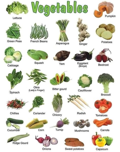 Vegetables Essen, Nature, Fruit And Vegetable Diet, Vegetables List, Vegetable Chart, Healthy Food Chart, Vegetable Diet, List Of Vegetables, Food Charts