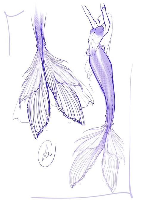 Mermaid Outfit Drawing, Mermaid Hair Drawing, Mermaid Reference, Mermaid Tail Drawing, Mermaid Concept, Drawing Mermaid, Mermaid Sketch, Siluete Umane, Mermaid Drawings