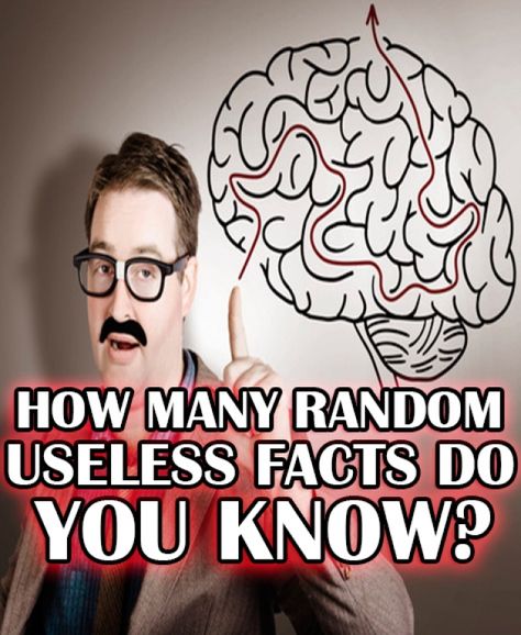 How Many Random Useless Facts Do You Know Random Useless Facts, General Knowledge Test, Random Trivia, True Or False Questions, Test For Kids, Useless Knowledge, Knowledge Test, Fun Fact Friday, Knowledge Quiz