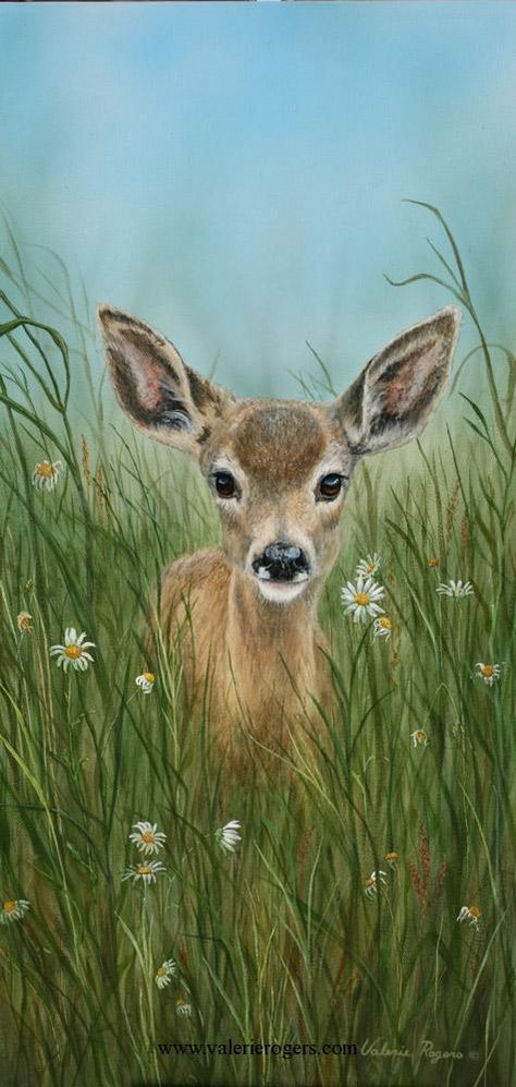 North American Wildlife, Deer Painting, Deer Art, Arte Animal, Abstract Animals, Wildlife Art, Pictures To Paint, Easy Paintings, Animal Paintings