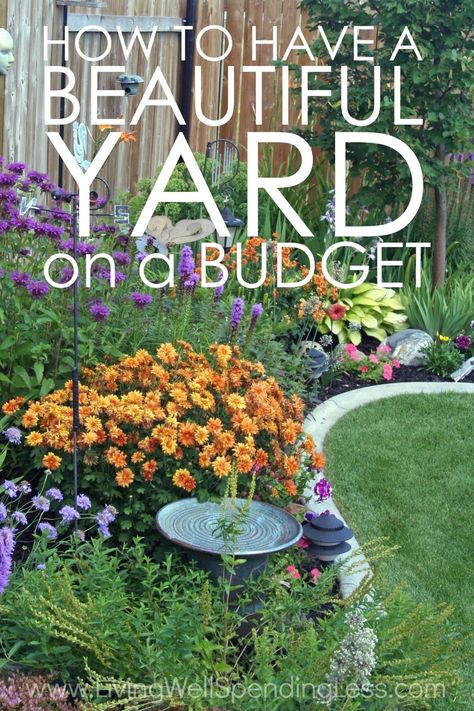 Yard On A Budget, Budget Landscaping, Beginner Gardening, Cheap Landscaping Ideas, Beautiful Yards, Diy Landscaping, Landscaping Tips, Think Again, Rich People