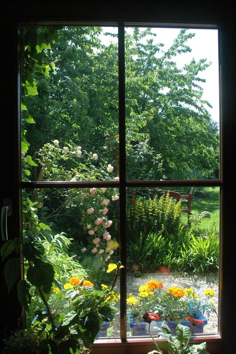 Create a breathtaking view from your window. Use a combination of landscaping elements such as trees, shrubs, and flowers to attract wildlife while providing a tranquil sanctuary for relaxation. Depending on the size of the space and the amount of sun exposure, you can create a custom design to fit your needs. Place a few planters with colourful, lush flowers around the area for a splash of life and texture. With careful consideration and mindful design, your garden can become a personal oasis. Garden Design Ideas, Garden Design Inspiration, Fake Window, Garden Seating Area, Through A Window, Garden Windows, Beautiful Windows, Rooftop Garden, Window View