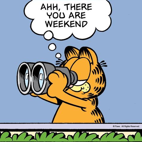 I can see the weekend from here. Humour, Garfield Quotes, Garfield Images, Garfield Cartoon, Friday Images, I Hate Mondays, Garfield Comics, Happy Weekend Quotes, Garfield And Odie