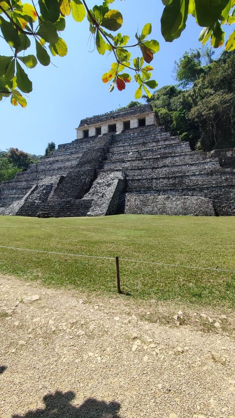 Palenque, Vision Board
