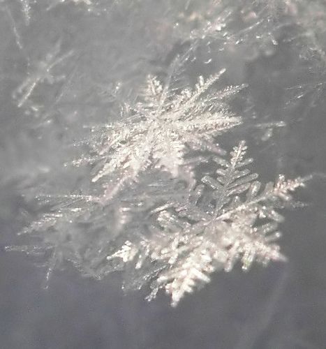 Foto Macro, Lizzie Hearts, Snow Crystal, I Love Winter, Ice Crystals, Winter Magic, Winter Beauty, Snow And Ice, Snow Queen