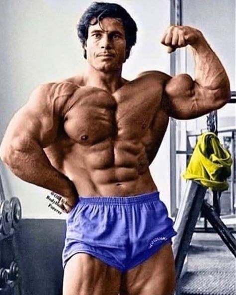 Arnold Schwarzenegger, Bronze Era Bodybuilding, Arnold Schwarzenegger Bodybuilding, Schwarzenegger Bodybuilding, Frank Zane, Pumping Iron, Golds Gym, G Man, Future Wife