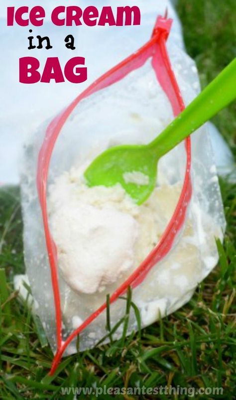 Summer Fun- Ice Cream in a Bag ~ This is a great activity to do with kids and it is a great project for states of matter science.  Perfect end of the year activity. Ice Cream In A Bag, Icecream In A Bag, Kid Science, Watermelon Ice, Ice Bag, Fun Summer Activities, Make Ice Cream, Frozen Treat, Camping Activities