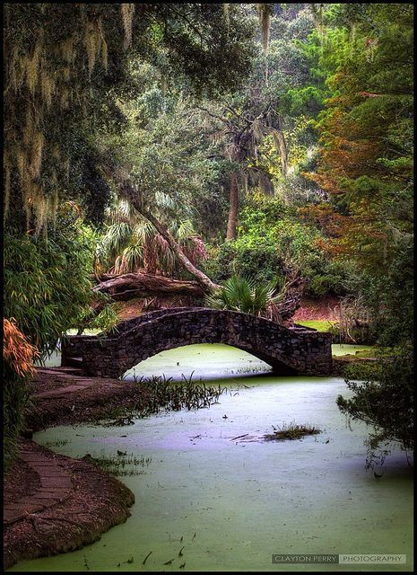 19 most beautiful places in Louisiana                                                                                                                                                                                 More Louisiana Vacation, Avery Island, Nova Orleans, Louisiana Travel, Most Beautiful Places To Visit, New Orleans Travel, New Orleans Louisiana, To Infinity And Beyond, Beautiful Places To Visit