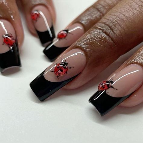 #frenchtipnails #ladybug #acrylic #arcylicnails #blacknails Ladybug Manicure, Bug Nails, Ladybug Nail Art, Ladybug Nails, Arylic Nails, Really Cute Nails, Unique Acrylic Nails, Nail Idea, 3d Nail Art