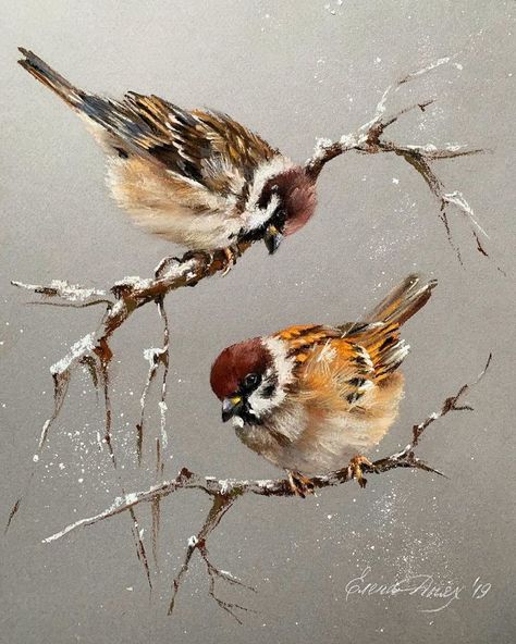 Pin by Sabina Tasheva on ♔ ART: Pastel | Soft pastel art, Birds painting, Bird paintings on canvas Bird Paintings On Canvas, Soft Pastel Art, Bird Watercolor Paintings, Canvas Painting Ideas, 수채화 그림, Bird Artwork, Nature Art Painting, Amazing Art Painting, Yellow Painting