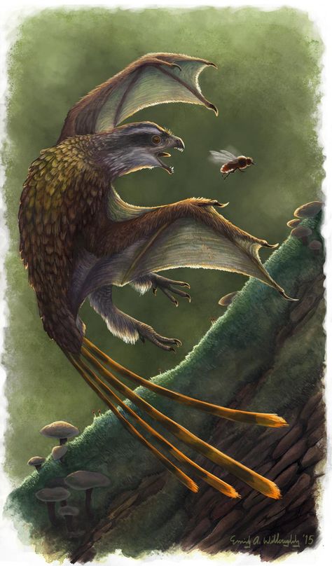 The Bat-Winged Dinosaur Feathered Dinosaurs, Prehistoric Wildlife, Prehistoric Art, Ancient Animals, Paleo Art, Extinct Animals, Alien Creatures, Jurassic Park World, Dinosaur Art