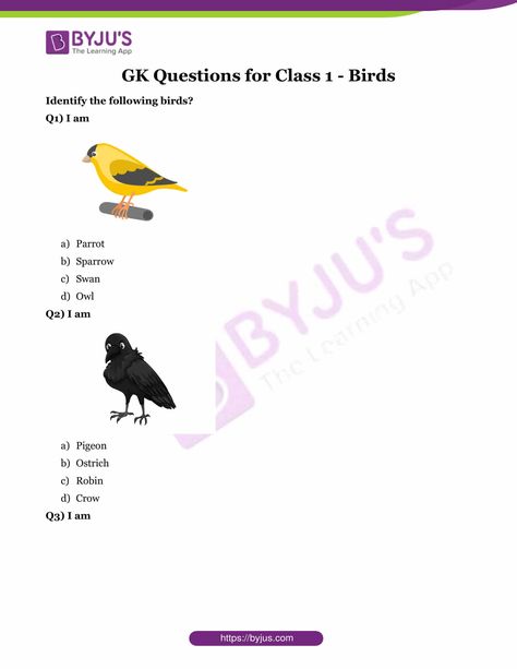 GK Questions for Class 1 - Birds Gk Questions For Class 1, Different Types Of Birds, Kids Learning Apps, Types Of Birds, Gk Questions, Student Activities, General Knowledge, Early Learning, Kids Learning