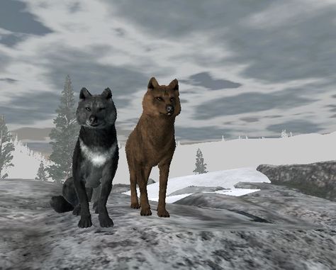 Wolfquest Anniversary Edition, Wolf Quest Anniversary Edition, Wolf Quest, Pretty Clouds, Fantasy Stuff, Animal References, Wolf Pictures, Gender Envy, Cute Games