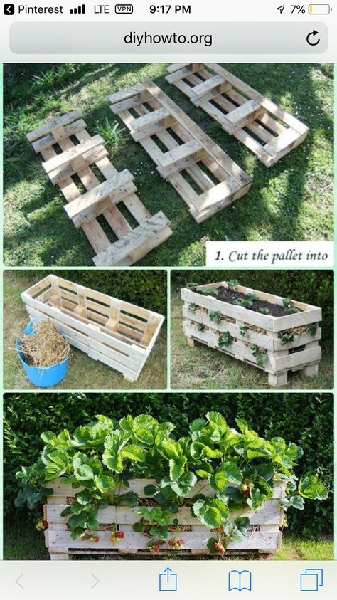 Palette Planter, Garden Pallet Decorations, Potager Palettes, Gardening Containers, Gardening Essentials, Plantarea Legumelor, Diy Garden Landscaping, Yummy Veggies, Vertical Vegetable Garden