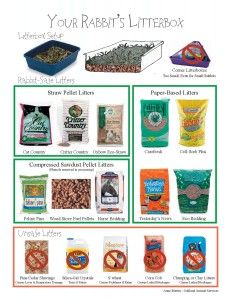 Posters and Flyers from HRS and our Partners | House Rabbit Society Bunny Litter, Bunny Care Tips, Flemish Giant Rabbit, Rabbit Litter Box, Rabbit Litter, Pet Rabbit Care, Giant Rabbit, Pet Bunny Rabbits, Raising Rabbits