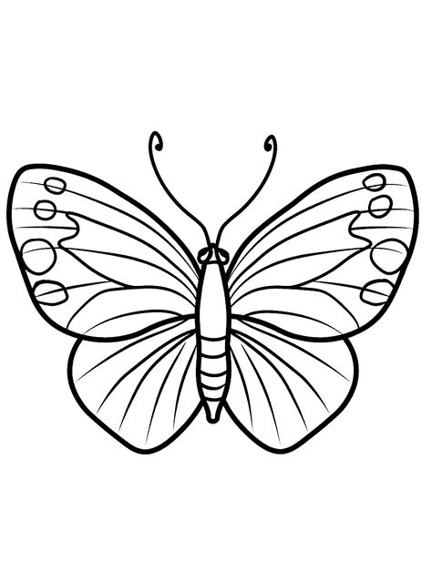 Butterfly Drawings Easy, Kindergarten Coloring Pages Free, Draw Butterfly Easy, Butterfly Easy Drawing, Butterfly Drawing For Kids, Butterfly Drawing Easy, Coloring Pages For Kindergarten, Easy Butterfly Drawing, Kindergarten Coloring