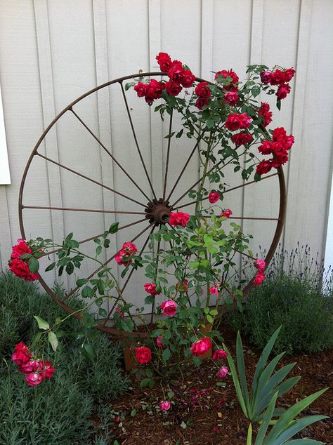 Wagon Wheel as Trellis / Garden Art by OSU Master Gardener, via Flickr ~ I love this idea, re-purposing items as lovely as this is much better than tossing them! Wagon Wheel Yard Decor, Wagon Wheel Decor Outdoor, Country Landscaping Ideas, Roda Gerobak, Taman Diy, Jardim Diy, Diy Trellis, Have Inspiration, The Secret Garden