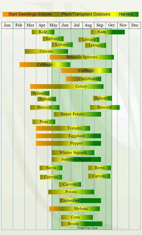 Fresco, Gardening Benefits, Vegetable Planting Calendar, Vegetable Planting Guide, Vegetable Planting, Seedlings Indoors, Planting Calendar, Garden Plants Vegetable, When To Plant Vegetables