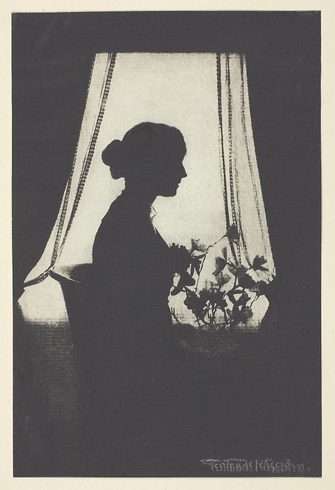 Edward Steichen, Gertrude Kasebier, Window With Plants, Gum Bichromate, A Rose For Emily, Silhouette Of Woman, Window Shadow, English Project, Shadow Silhouette