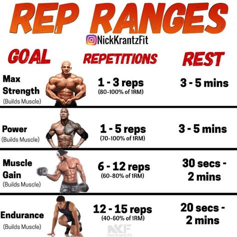 Resistance Training Workouts, Training Workouts, Weight Training Workouts, Body Workout Plan, Workout Chart, Workout Plan Gym, Bodybuilding Training, Resistance Training, Weekly Workout