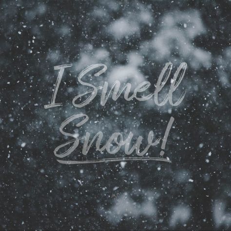 I Smell Snow Wallpaper, I Smell Snow, Snow Wallpaper, Grow Your Faith, Vintage Flowers Wallpaper, White Snow, Flowers Wallpaper, Winter Aesthetic, Cozy Winter