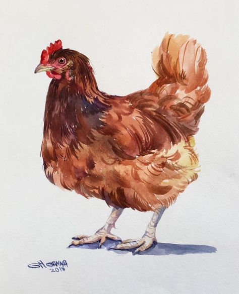 RUSTY CHICKEN, HEN, FARM BIRD, FARM ART, ORIGINAL WATERCOLOR PAINTING #Impressionism Chicken Drawing Watercolor, Hen Painting Acrylic, Watercolour Chickens Hens, Hen Watercolor Painting, Chicken Drawing Realistic, Fantasy Chicken Art, Hen Painting Chicken Art, Chicken Watercolour Painting, Acrylic Painting Chicken