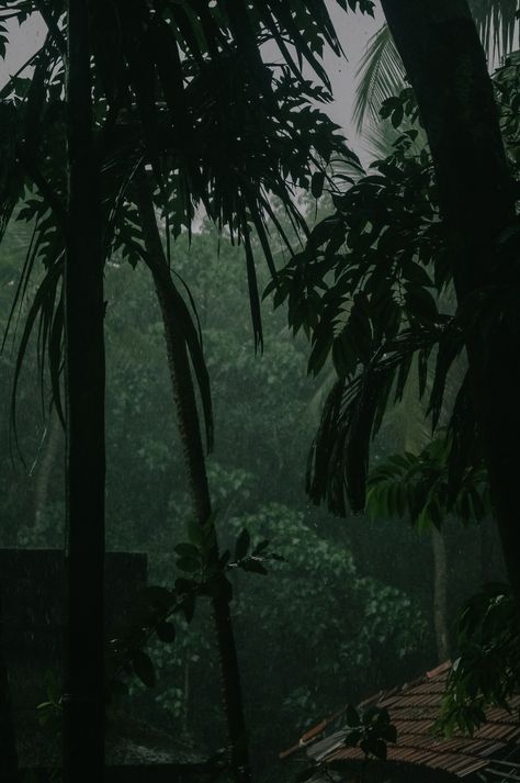 Nature, India Rain Aesthetic, Rain Kerala Photography, Kerala Story Instagram, Rainy Day Aesthetic Pictures, Mountain Rain Aesthetic, Rain In Ocean, Kerala Instagram Stories, Kerala Rain Photography