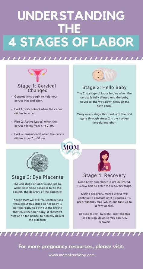 Labor Stages Chart, Stages Of Labor And Delivery, Stages Of Labor Chart, Labor And Delivery Nurse Education, Counter Pressure During Labor, What To Expect When Your Expecting, Stages Of Labor Nursing, Midwifery Notes, Labor Stages