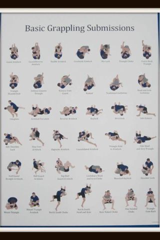 BJJ Submissions Jiu Jitsu Memes, Learn Krav Maga, Jui Jitsu, Jiu Jitsu Training, Karate Martial Arts, Pencak Silat, Mma Training, Ju Jitsu, Martial Arts Techniques