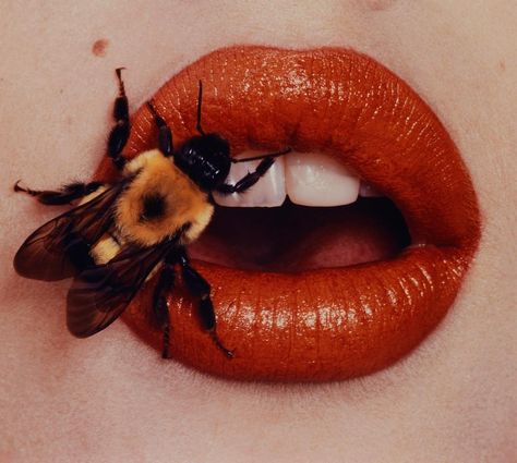 RARE PICS on Instagram: “‘Bee On Lips’ by Irving Penn for Vogue 🐝💋” Irving Penn, Adriana Lima, Lip Art, Paulina Porizkova, Reference Photos For Artists, Beyond Beauty, 문신 디자인, Pics Art, Photo Reference