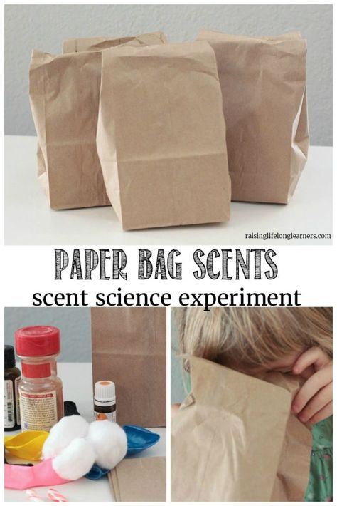 Guess that Scent Science Experiment | A Science Activity for Kids Scent Activities For Preschool, Guess The Smell Preschool, Science Language Activities, See Sense Activities Preschool, Five Senses Halloween Activities, 5 Senses Activities Middle School, Senses Science Experiment, Special Ed Science Experiments, 5 Senses Science Experiments