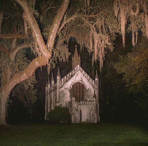 Haunted Garden Aesthetic, House Burning Down, Dark Hotel Aesthetic, Gothic Church Aesthetic, Thorn Aesthetic, Oracular Spectacular, Globus Cruciger, Southern Gothic Aesthetic, Catholic Aesthetic