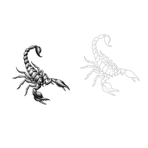 Scorpion Tattoo Outline, Scorpion Tattoo Stencil, Scorpion Tattoo Drawing, Small Scorpion Tattoo, Rosen Tattoo Mann, Scorpion Tattoo Design, Antler Tattoo, American Traditional Tattoo Designs, Traditional Tattoo Designs