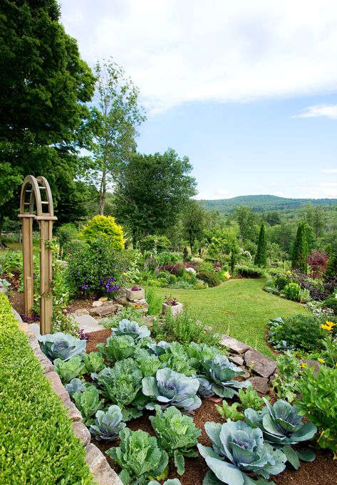 Check out how one couple transformed a large property into a gorgeous garden full of fresh produce that coexists among flower beds. #gardening #veggiegarden #bhg Garden Types, Architecture Drawings, Landscape Designs, Vegetable Garden Design, Flower And Vegetable Garden, Jardim Diy, Chemical Changes, Potager Garden, Backyard Gardening