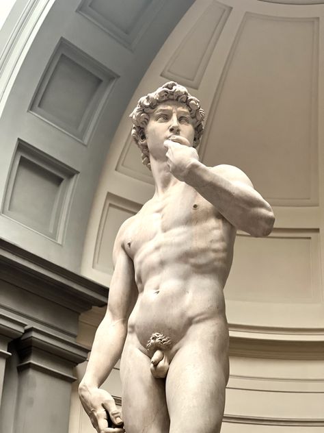 Michelangelo's David Florence, Accademia Gallery, Famous Sculpture, Michelangelo's David, Palazzo Vecchio, The Battle, Lost, Sculpture