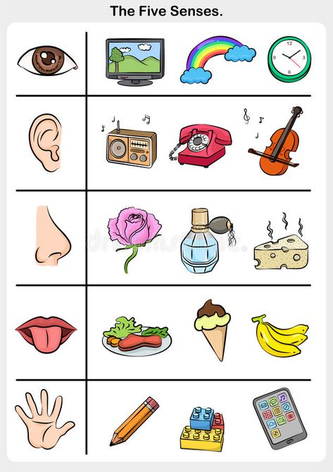 Body Parts Preschool Activities, Aktiviti Prasekolah, Five Senses Worksheet, Five Senses Preschool, Senses Preschool, My Five Senses, Body Preschool, مشروعات العلوم, Body Parts Preschool