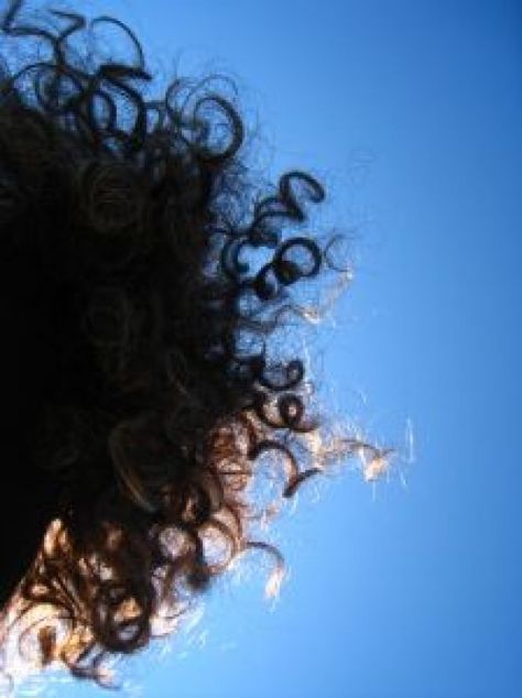 Tumblr, Curly Hair Back View Aesthetic, Curly Hair Back View, Curly Art, Curly Hair Aesthetic, Dry Natural Hair, Hair Shadow, Good Shampoo And Conditioner, Shampoo For Curly Hair