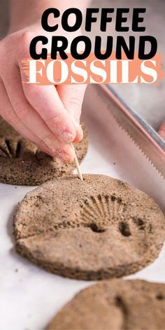 Coffee Ground Fossils, Fossil Activities For Kids, Making Fossils, Fossil Craft, Diy Fossils, Dinosaur Crafts Kids, Dinosaur Excavation, Fossils Activities, Dinosaur Preschool