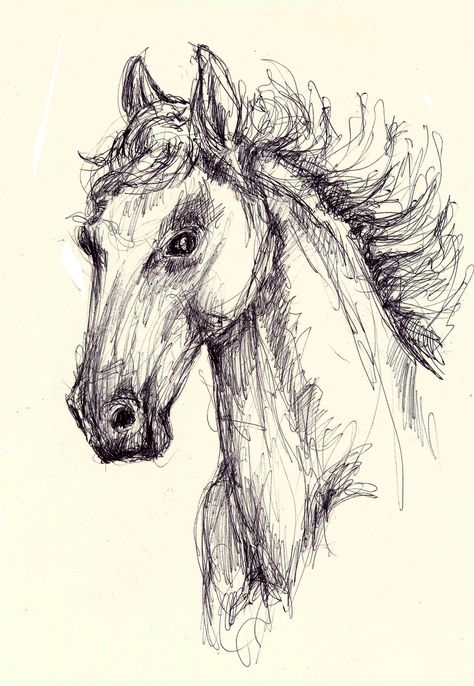 Uniball gel pen doodle of a horse Gel Pen Drawings, Black Pen Drawing, Pen Art Work, Ballpoint Pen Art, Ballpoint Pen Drawing, Horse Sketch, Pen Art Drawings, Animation Art Sketches, Architecture Drawing Art