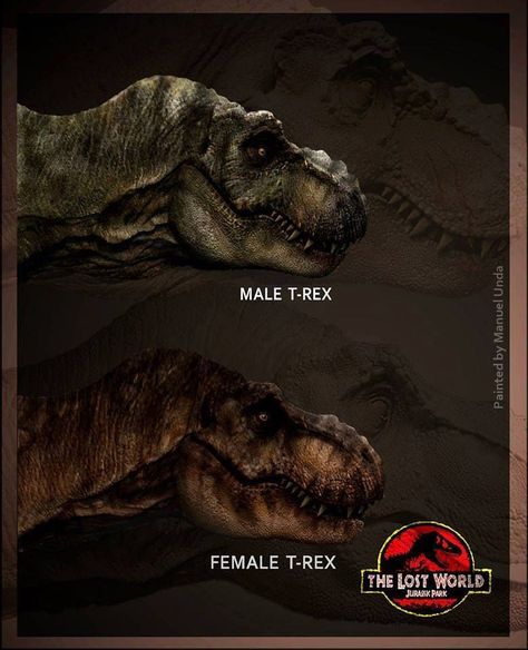 Male & Female T-Rex's Lost World Jurassic Park, Jurassic Park Trilogy, Jurassic Park T Rex, Jurassic Movies, Jurassic Park Poster, Jurassic World 3, Jurassic World 2, Jurassic Park 1993, Jurrasic Park