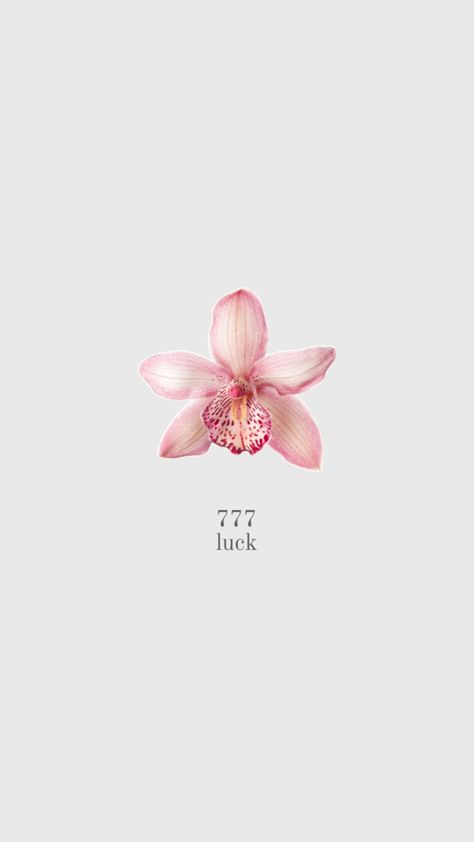 Nature, Spiritual Flowers, Angel Numbers Wallpaper, Divine Feminine Aesthetic, 777 Angel Number, Snoopy Wallpaper, Iphone Wallpaper Sky, Y2k Wallpaper, Pinterest Room Decor