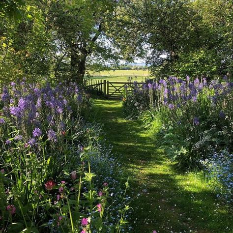 Monty Don, Drømme Liv, Cottage Aesthetic, Fotografi Vintage, Cottage In The Woods, Dream Cottage, Spring Aesthetic, Alam Yang Indah, Garden Cottage