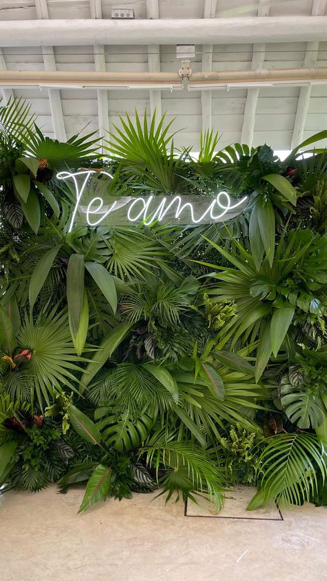 MX Wedding Planning & Design on Instagram: "Te amo in photograph. Venue @banyantreemayakoba @banyantreemayakobaweddings Planning @canteiroweddings Rentals and decor @canteiroweddings AV @inspiremexico @weddingsbyinspire Couple @kehullinger @nyhorse314" Foliage Backdrop Wedding, Palm Wedding Backdrop, Tropical Photo Wall Backdrop, Te Amo Neon Sign, Greenery Background Wedding, Wedding Backdrop Greenery Wall, Palm Photo Backdrop, Tropical Wedding Photo Backdrop, Plant Wall Wedding