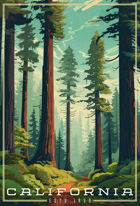 Giant redwood trees with a small trail going through them. Blue skies with just a few thin clouds. The word California is the title located in the bottom of the image Nature Poster Design Illustration, Croquis, California Poster Vintage, California Redwoods Tattoo, California Vintage Poster, Redwood Forest Art, Vintage National Parks Posters, Vintage Mountain Poster, National Parks Posters Vintage