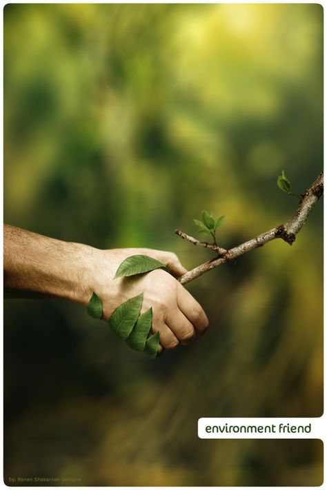 Nature, Design, Trees, Save Trees, Hands Holding, One With Nature, Save Earth, Blood Pressure, Two Hands