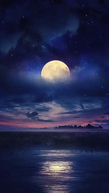 Beautiful Night Images, Night Sky Wallpaper, Moon Photography, Beautiful Night, Beautiful Moon, Pretty Wallpapers Backgrounds, Beautiful Scenery Nature, Alam Yang Indah, Alam Semula Jadi