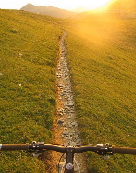 Follow the path. Mountain Biking, I Want To Ride My Bicycle, Bike Path, Mountain Bike Trails, Dirt Bikes, Bike Trails, Bike Ride, Mountain Bike, Happy Places