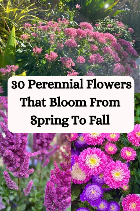 A list of 30 stunning perennial flowers that bloom from spring to fall, adding beauty and color to your garden throughout the growing season. Explore these vibrant blooms and enhance your garden with lasting beauty. Nature, Four Season Flower Garden, Flower Garden That Blooms All Year, 4 Season Flower Bed, Mid Summer Blooming Perennials, Succession Planting Flowers, Cool Season Flowers, Flowers That Bloom All Year, Perennials That Bloom Spring To Fall